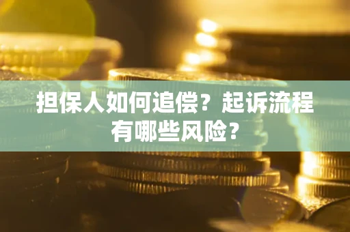 济南担保人如何追偿？起诉流程有哪些风险？