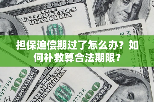 济南担保追偿期过了怎么办？如何补救算合法期限？