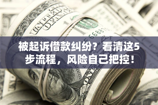 济南被起诉借款纠纷？看清这5步流程，风险自己把控！